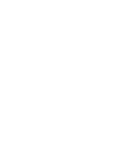 Optimize icon