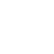 Report icon